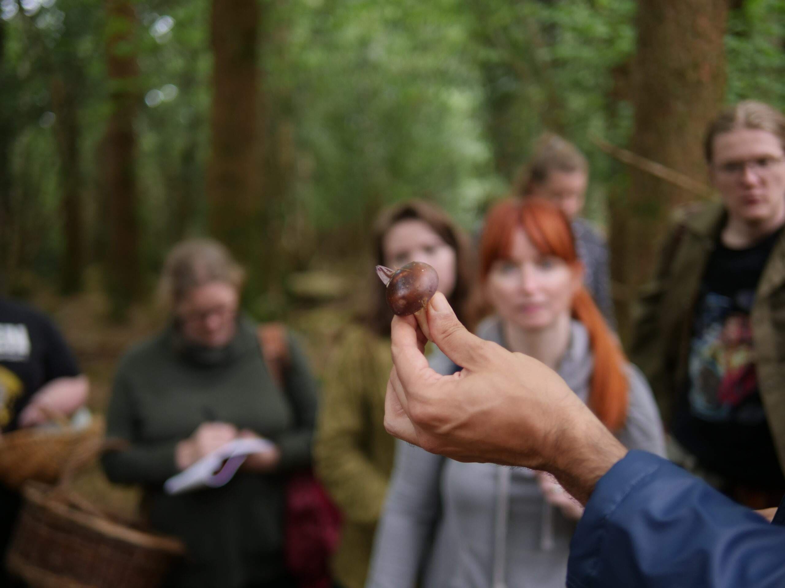 mushroom foraging workshop