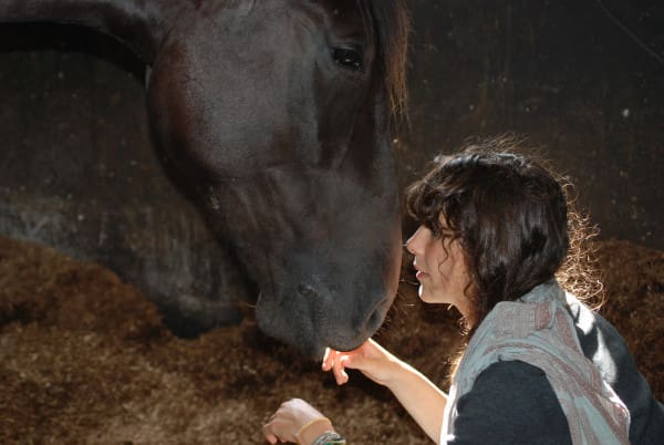 Horsemanship Riding Lessons Ireland
