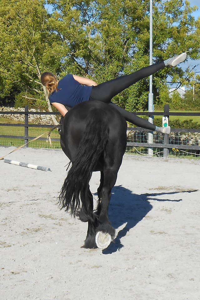 Horsemanship-Riding-Lessons-Ireland